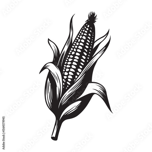 corn silhouette vector illustration on white background, A simple corn cob with some leaves art silhouette and black shape corn vector art illustration, Corn cobs elements icon vector illustration
