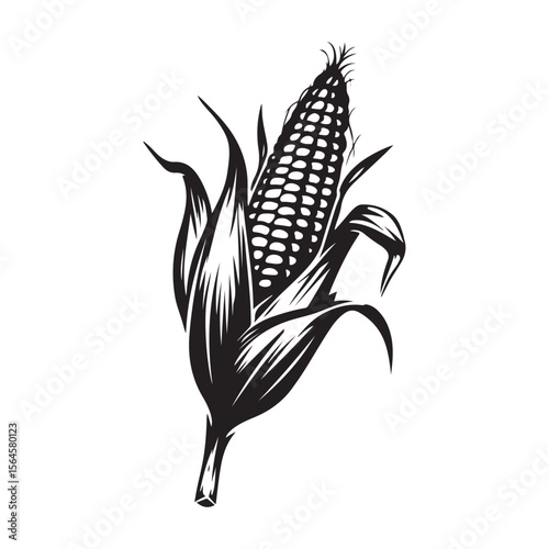 corn silhouette vector illustration on white background, A simple corn cob with some leaves art silhouette and black shape corn vector art illustration, Corn cobs elements icon vector illustration