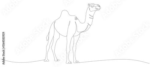 arabian camel continuous line vector design