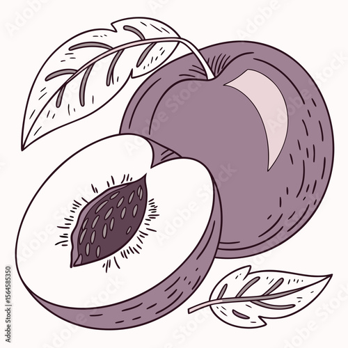 A vibrant vector illustration of ripe, sweet apple and plum fruits with leaves, perfect as a healthy food icon or organic design element