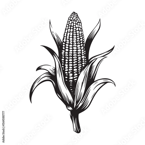 corn silhouette vector illustration on white background, A simple corn cob with some leaves art silhouette and black shape corn vector art illustration, Corn cobs elements icon vector illustration