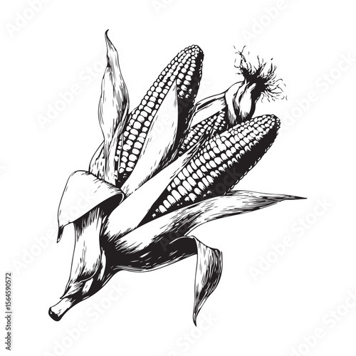 corn silhouette vector illustration on white background, A simple corn cob with some leaves art silhouette and black shape corn vector art illustration, Corn cobs elements icon vector illustration
