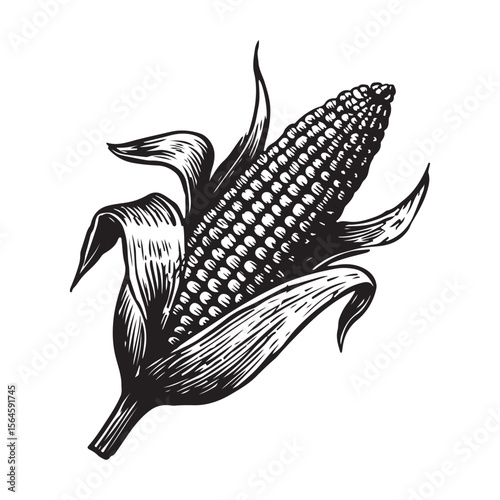corn silhouette vector illustration on white background, A simple corn cob with some leaves art silhouette and black shape corn vector art illustration, Corn cobs elements icon vector illustration