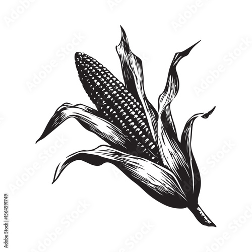 corn silhouette vector illustration on white background, A simple corn cob with some leaves art silhouette and black shape corn vector art illustration, Corn cobs elements icon vector illustration
