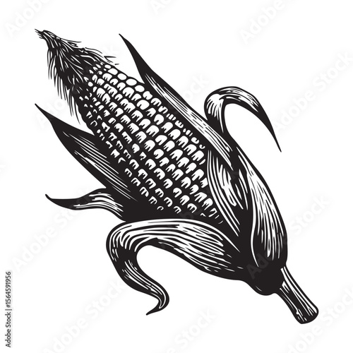 corn silhouette vector illustration on white background, A simple corn cob with some leaves art silhouette and black shape corn vector art illustration, Corn cobs elements icon vector illustration