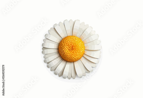 Daisy flower depiction made with yellow yolk and white petals  