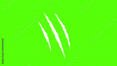 Animal claw scratches, tiger, dog, lion, monster, scratches, talons cuts cat