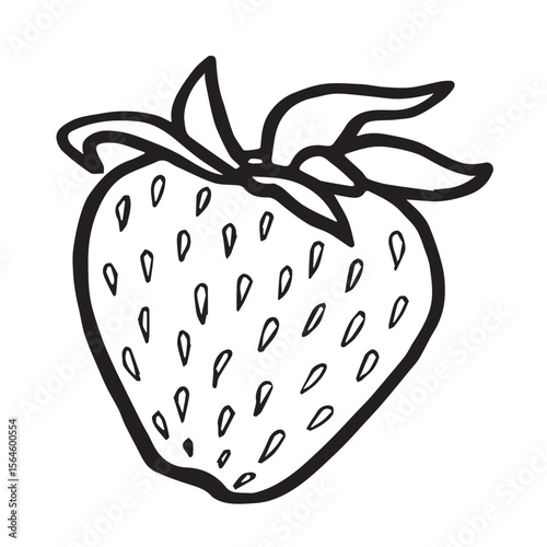 Strawberry hand drawn isolated vector illustration for food product desing. Fresh garden berries black and white sketch, organic healthy food. Summer fruit in line art style for cosmetic and textile.