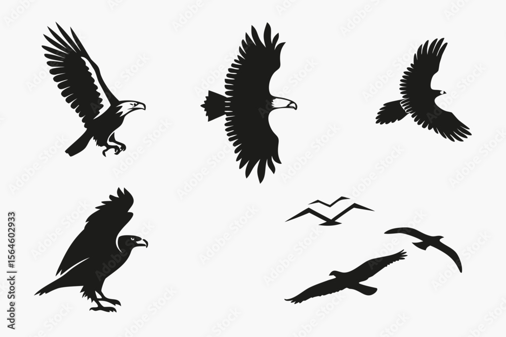 Obraz premium set of eagle