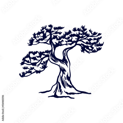 Japanese pine. Silhouette of traditional oriental bonsai tree in graphic black and white style. Hand drawn vector illustration. For tourist postcards, invitations, banners, posters, booklets.