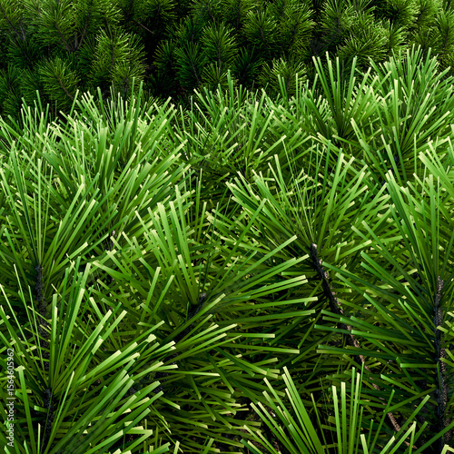 mountain pine in the form of a pillow