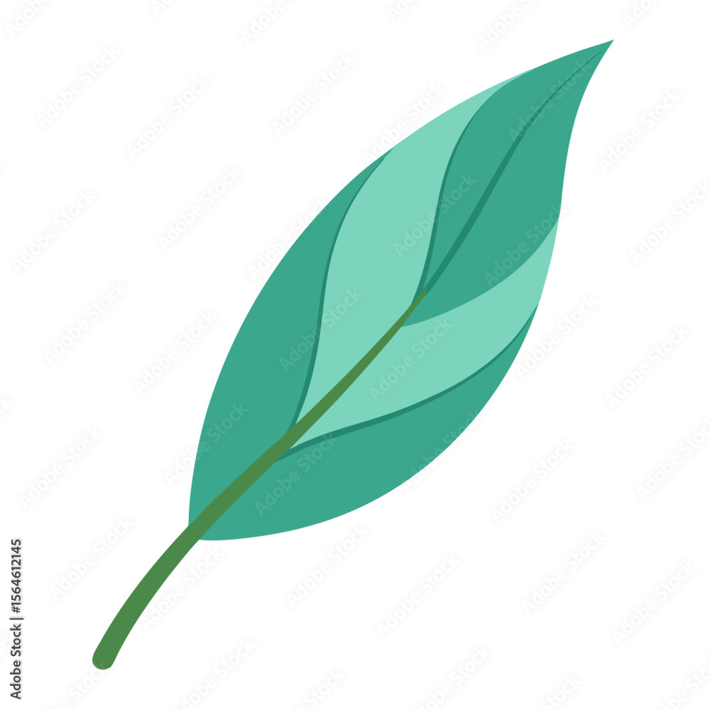 Fototapeta premium green leaf isolated on white background