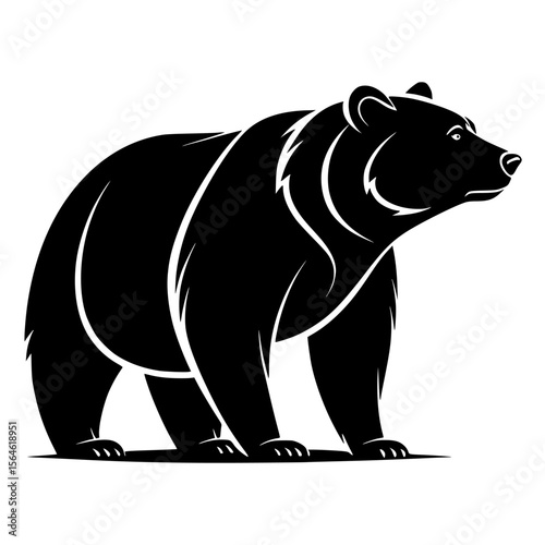 vector illustration of bear