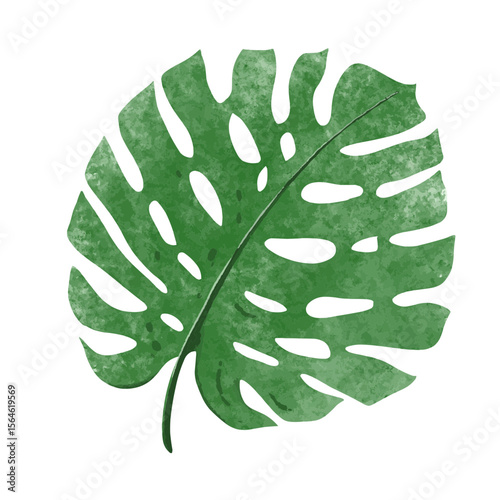Tropical Green Leaf Watercolor Illustration