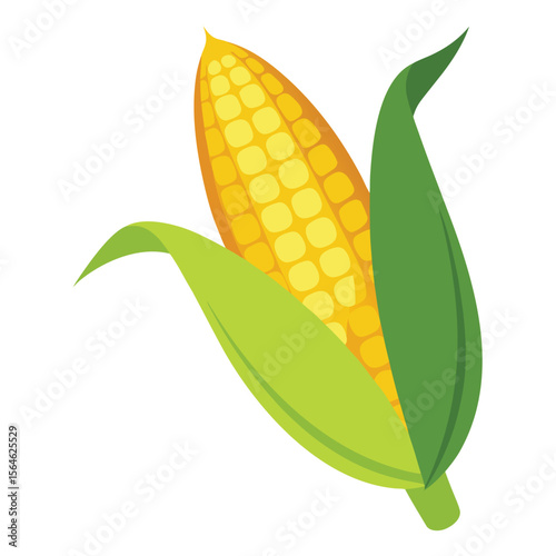 A single ear of corn, golden yellow and fresh, on a clean white background, representing natural produce and healthy food