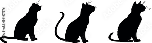 Minimal triple black cat silhouettes sitting in profile vector icon