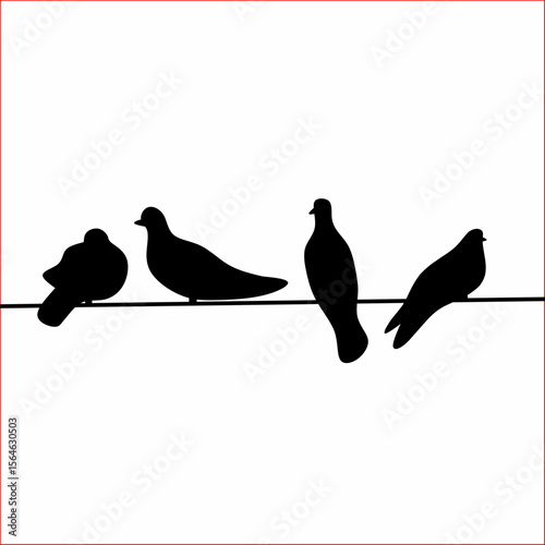 Vector silhouette of a group of pigeons perched on power lines on a white screen background.