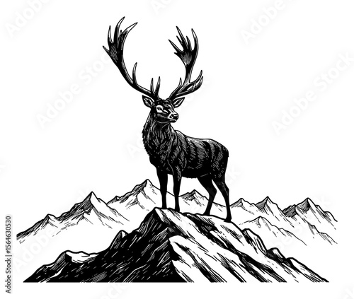 Majestic Antlered Deer Stag Standing on Mountain Peak Landscape Black and White Outline Line Art Drawing