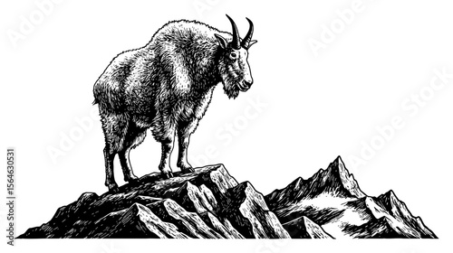 Majestic Mountain Goat Standing on a High Peak in a Black and White Outline Line Art Drawing Landscape