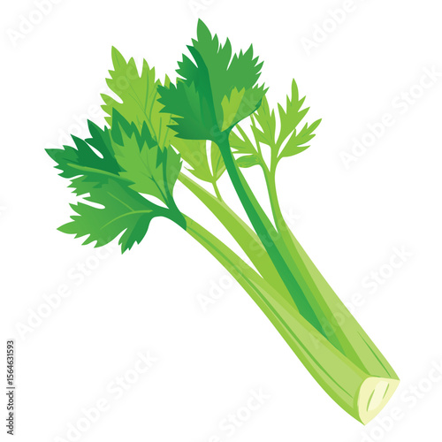 A stalk of celery, crisp and green, on a plain white surface, symbolizing healthy snacking and fresh vegetables