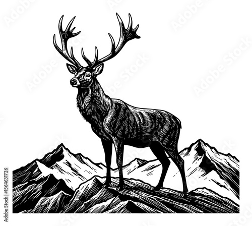 Majestic Antlered Deer Stag on Mountain Peak Landscape Black and White Outline Line Art Drawing