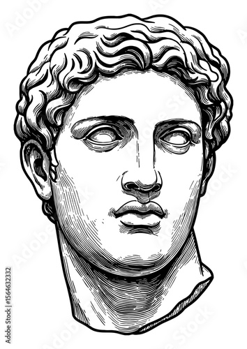 Classical Male Head Bust Statue Black and White Outline Line Art Drawing Ancient Greek Roman Style
