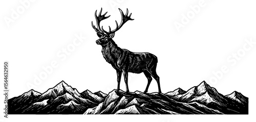 Majestic Antlered Stag on Mountain Peak Landscape Black and White Outline Line Art Drawing