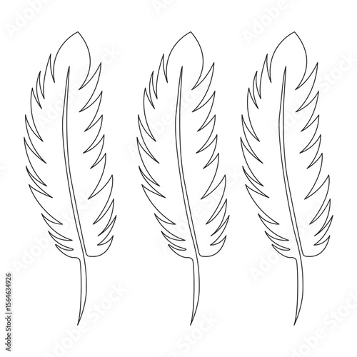 Bird feather continuous single one line hand drawn to outline vector art illustration