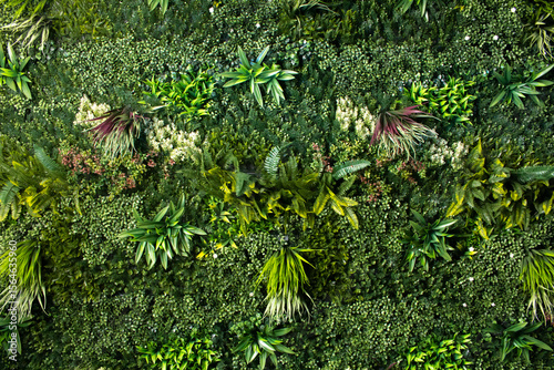 Canvas Print A view of a wall of tropical faux plants, as a background.
