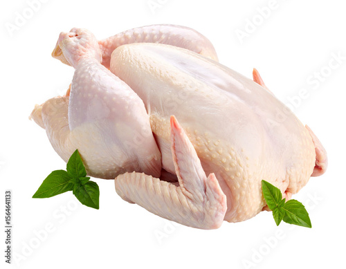A whole raw chicken isolated on transparent background