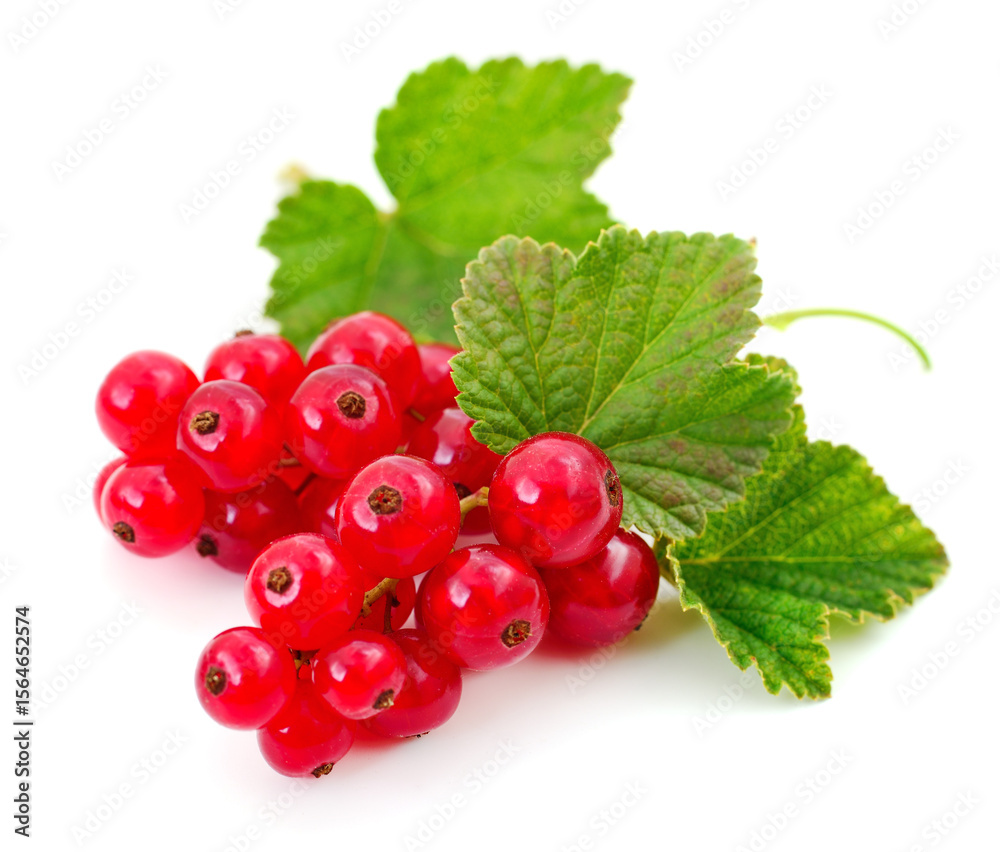 Red currants with green leaves. Red currants with green leaves.