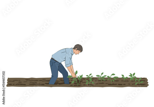 A farmer carefully tends young crops in a field. The image showcases a rural scene with a focus on agricultural work and healthy growth. Clear composition and earthy tones.