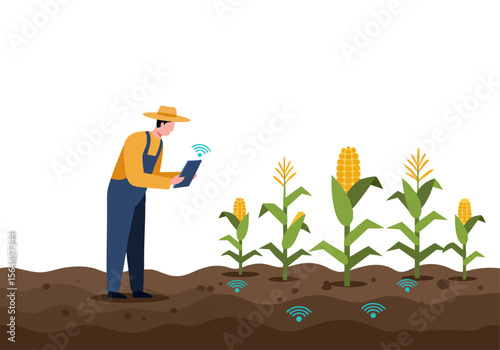 A farmer uses a tablet to analyze soil health near thriving corn stalks. Modern agricultural technology promotes sustainable farming. Clean, bright, and professional.