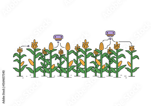Robots monitor a cornfield, illustrating data flow. A clean, modern illustration with vibrant colors and a clear visual representation of agricultural technology.
