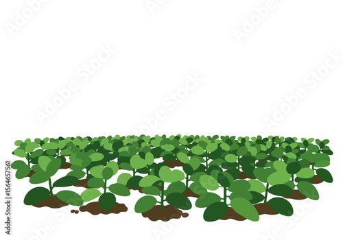A stylized illustration depicts a dense green cover of plants, evoking nature and sustainability. Clean lines and a minimalist design create a modern, impactful visual.