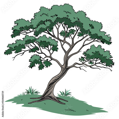 Modern isometric tree vector icon, three dimensional view, excellent for architectural plans and infographic designs