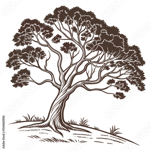 Rustic sycamore tree vector icon, distinctive bark, perfect for natural and forest themed designs, outdoor adventures