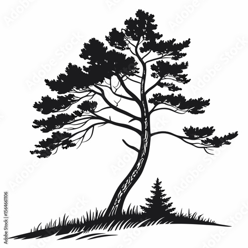 Simple conifer tree vector icon, classic conical shape, great for winter and forest landscapes