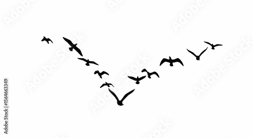 Bird Flock Flying in V Formation Silhouette on White Background, Migrating Birds Vector Illustration