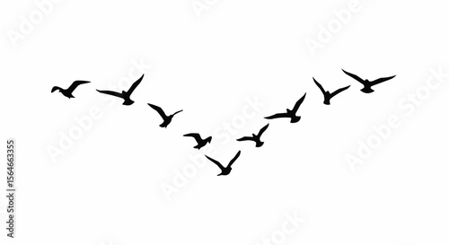 Bird Flock Flying in V Formation Silhouette on White Background, Migrating Birds Vector Illustration