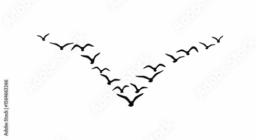 Bird Flock Flying in V Formation Silhouette on White Background, Migrating Birds Vector Illustration