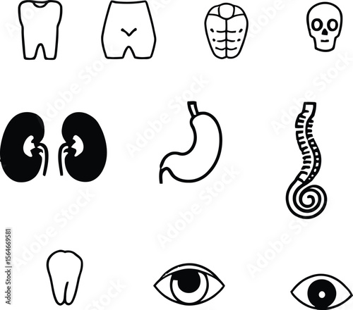 Anatomical icon set in 3x3 grid featuring tooth, skull, eye, kidneys, stomach, spine, and pelvic area in black and white line art
