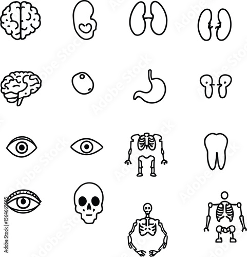 Human anatomy icon set with brain, embryo, kidneys, ovary, stomach, eye, ear, skeleton, skull, and tooth in black and white grid