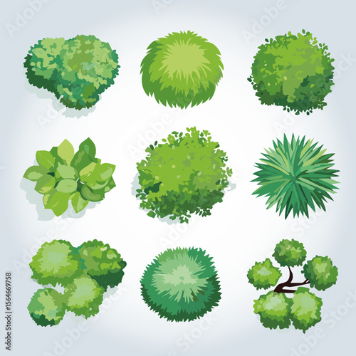 Ensemble de 9 Icônes d'Arbres et d'Arbustes pour Plans de Jardins et Architecture Vus de dessus, Nature et Végétation Couleur Vert Vecteur