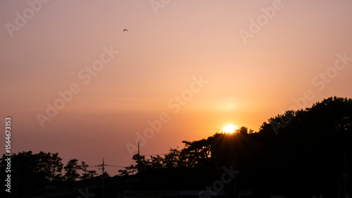 Sunset and horizon from the beach, and seagull flying high above the beach