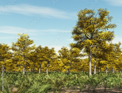 Waldlandschaft