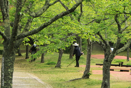 新緑の公園を管理する人