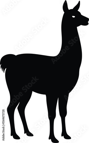 A black llama silhouette standing isolated on white background