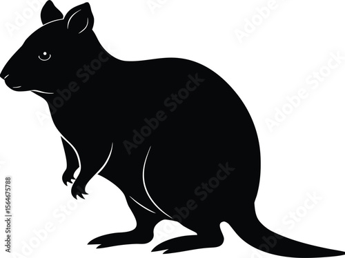 A cute quokka silhouette, isolated on white background, is shown from the side, displaying its small size and happy expression