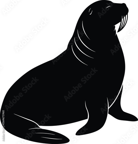 A large black walrus silhouette isolated on white background, a powerful marine mammal illustration